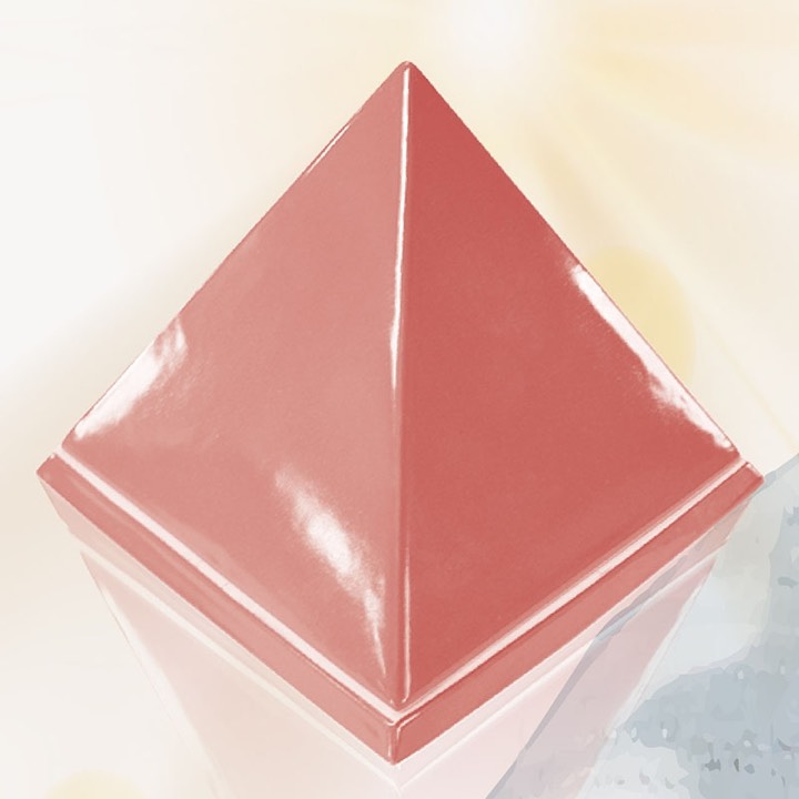 聚炁養印盒